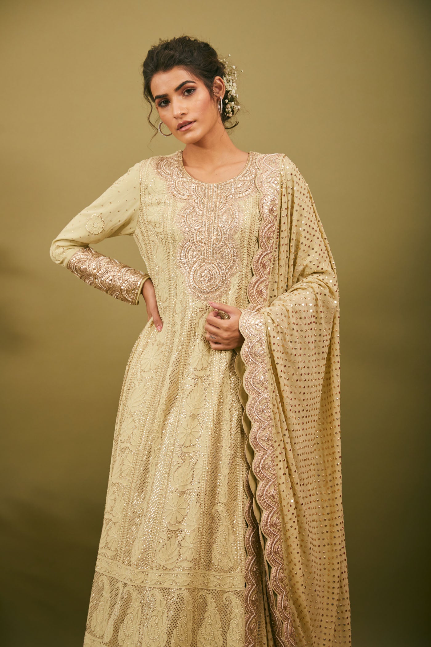 Pista Green Georgette Lucknowi Anarkali Set