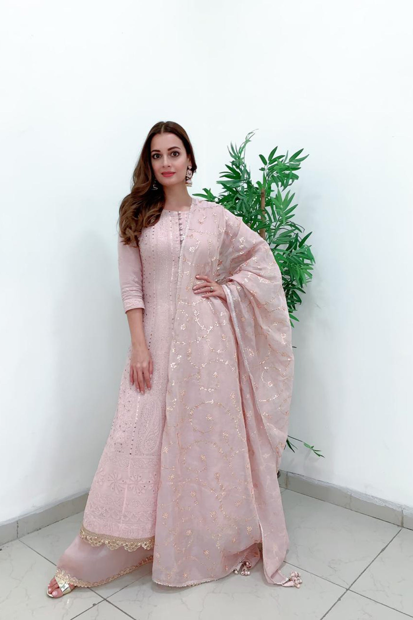 Blush Pink Chikan anarkali Set with Embroidered Dupatta