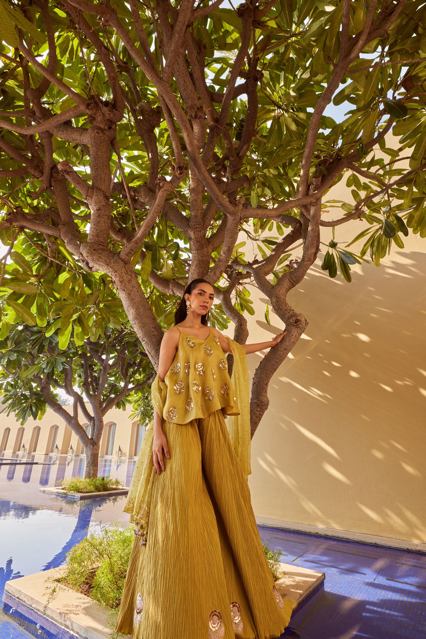 OLIVE GREEN CRUSH SHARARA WITH CROP TOP AND DUPATTA