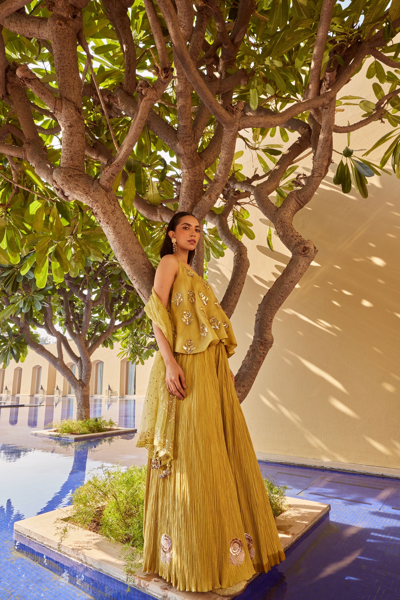 OLIVE GREEN CRUSH SHARARA WITH CROP TOP AND DUPATTA