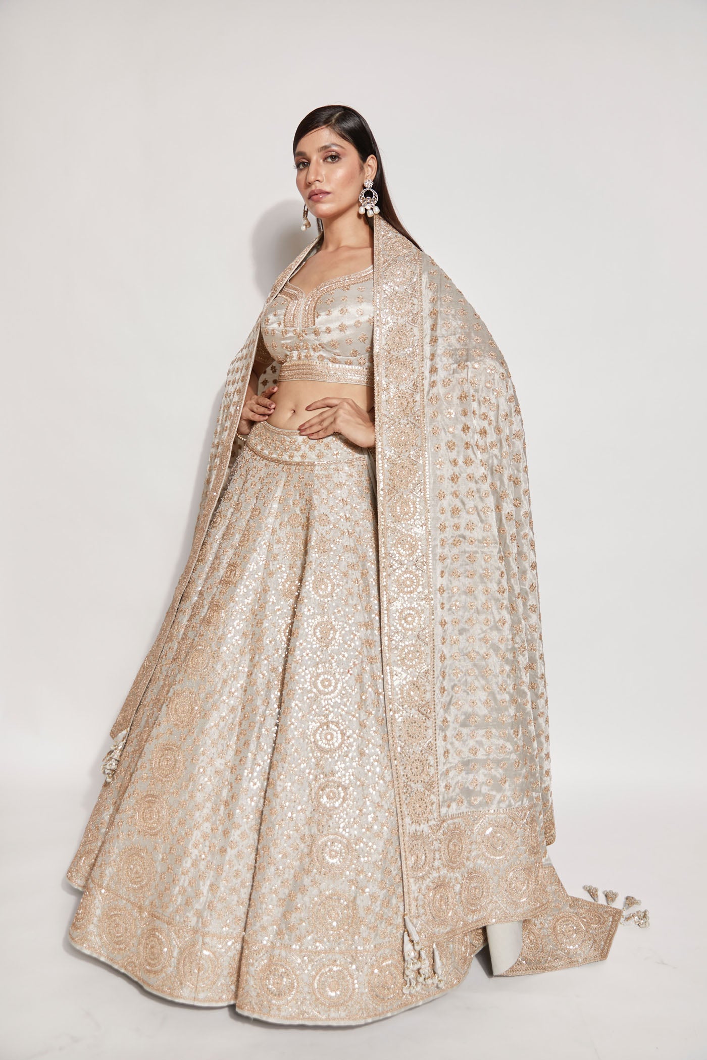 Silver Banarasi Lehenga Set