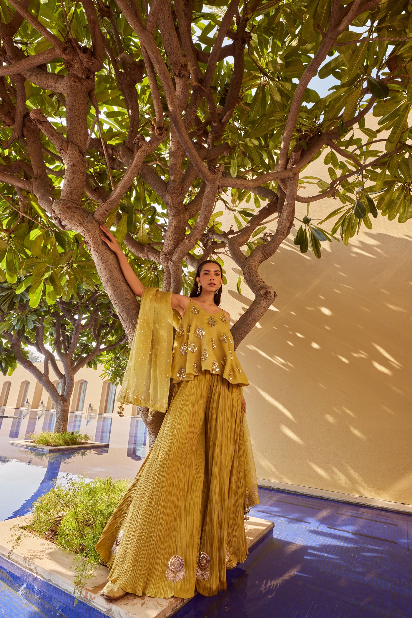 OLIVE GREEN CRUSH SHARARA WITH CROP TOP AND DUPATTA